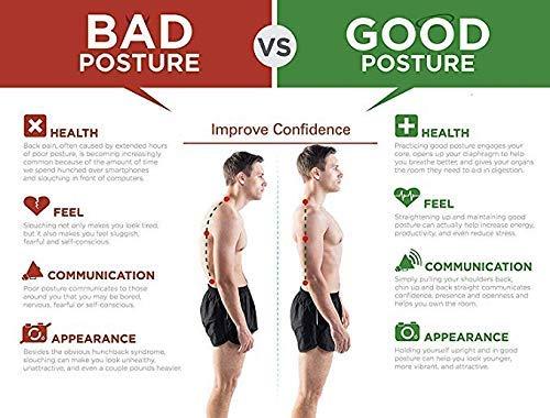 Boldfit Posture Corrector Back Support Belt